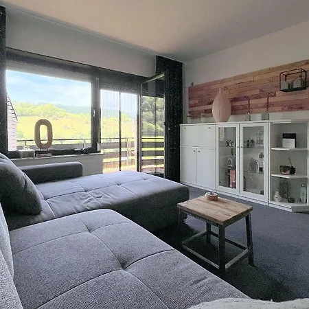 公寓 In Willingen-schwalefeld
